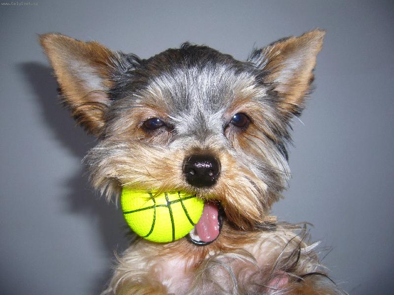 Foto: muj balonek a nikomu ho nedam!