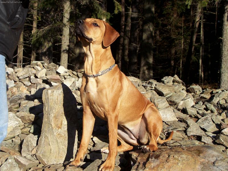 Foto: V�noce 2006-Eimmy a jej� prvn� �t�dr� den