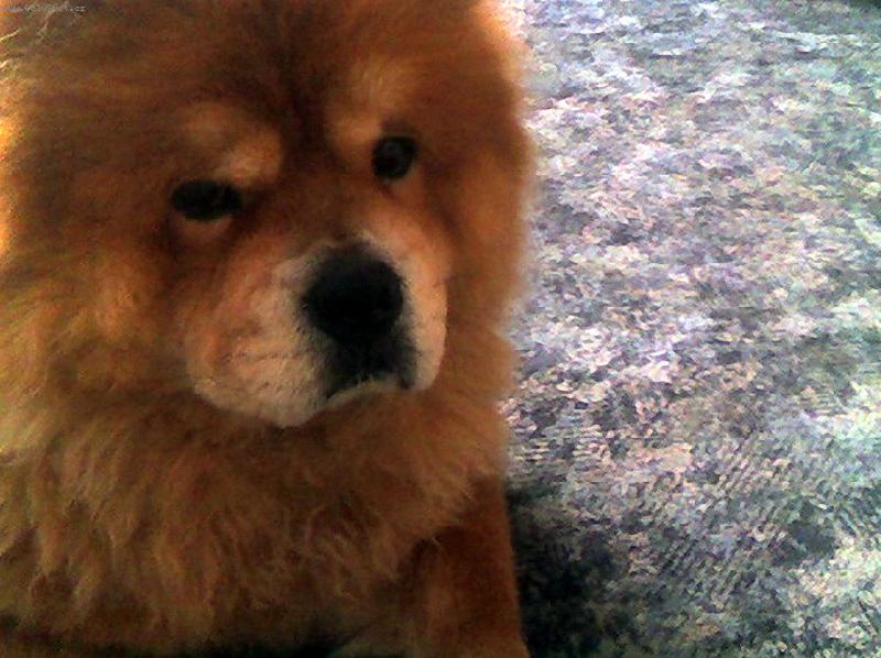 Foto: Torinka-pohoda