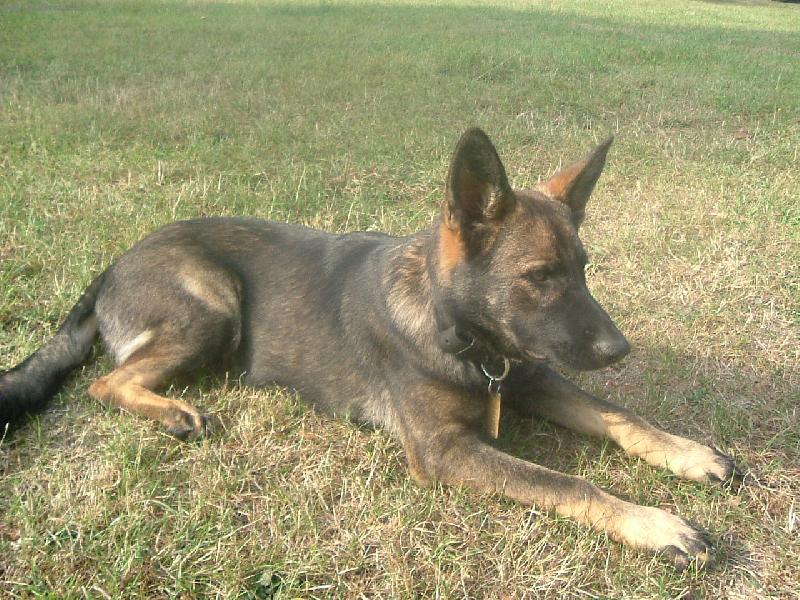 Foto: Terri ze Zla��ku