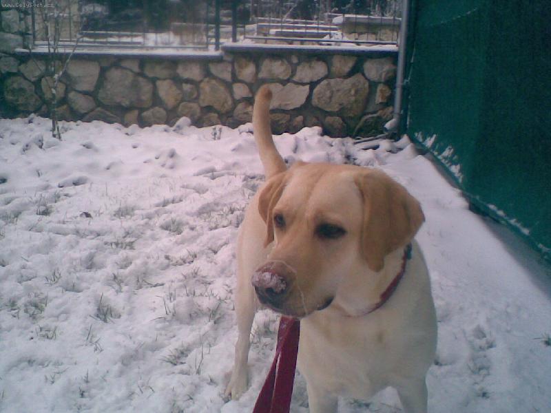 Foto: Meginka-zim��