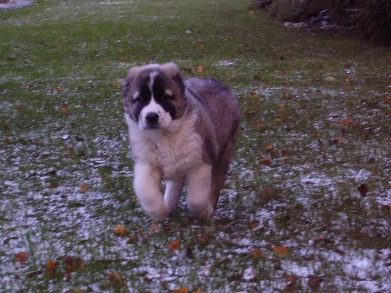 Foto: Mal� sle�na-2 m�s�ce