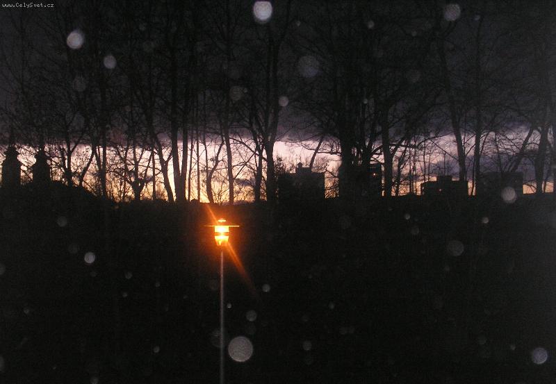 Foto: Kyti�ky-Horizont-Olomouc