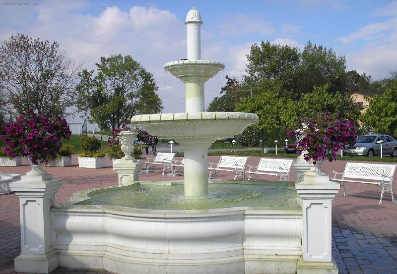 Foto: Kyti�ky-Horizont-Olomouc