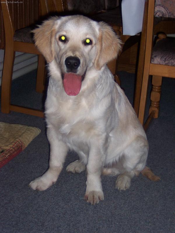 Foto: prvn� sn�h