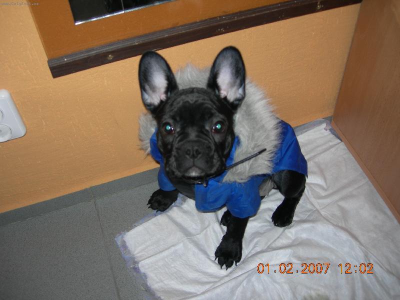 Foto: A m��e klidn� chumelit!