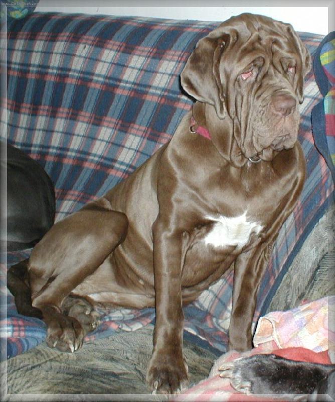 Foto: Artemis 8 m�s.