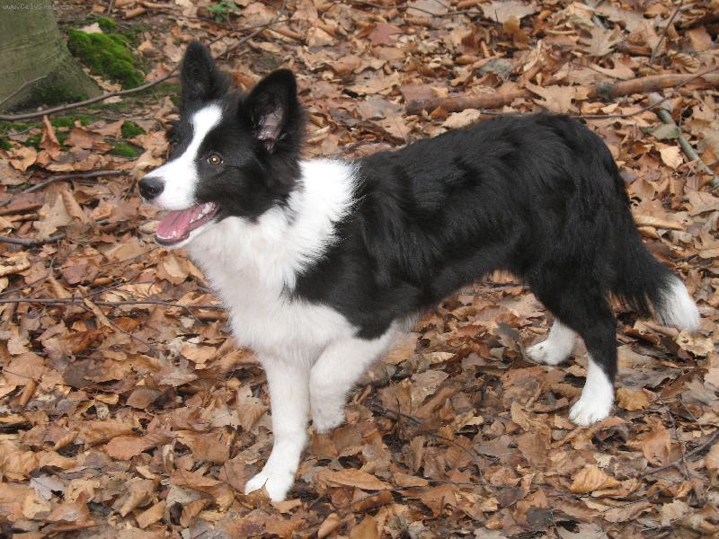 Foto: na proch�zce v lese