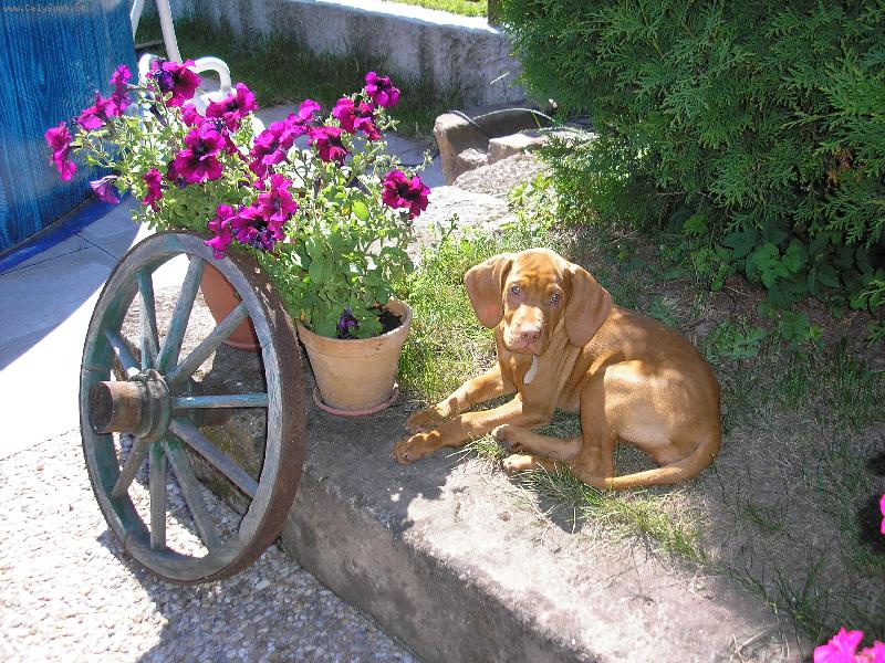 Foto: Tessinka je�t� �t���tko :o)