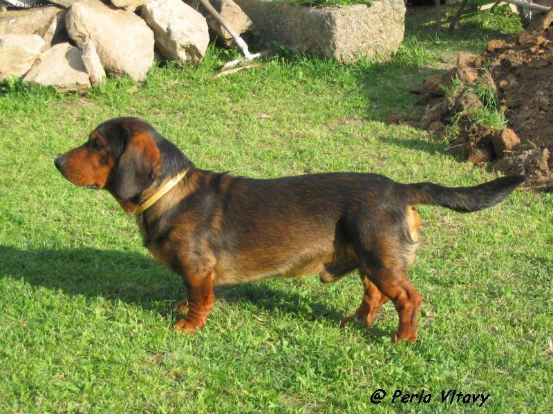 Foto: Tak jsem p�kn�