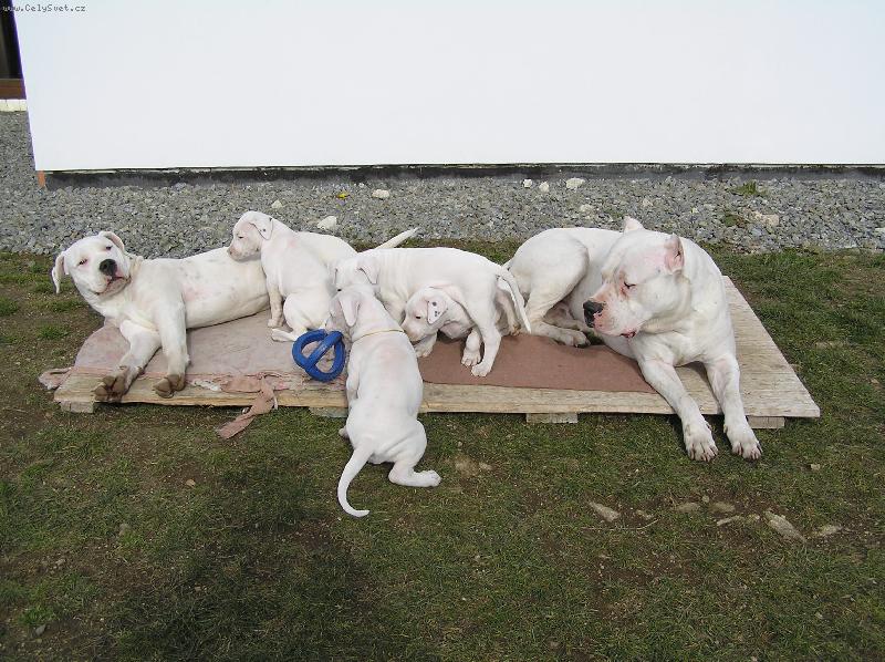 Foto: Pacha + vrh C + Ricardo