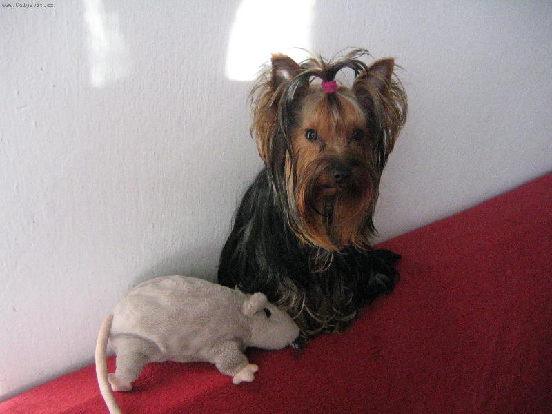 Foto: Dorinka s k�mo�kou