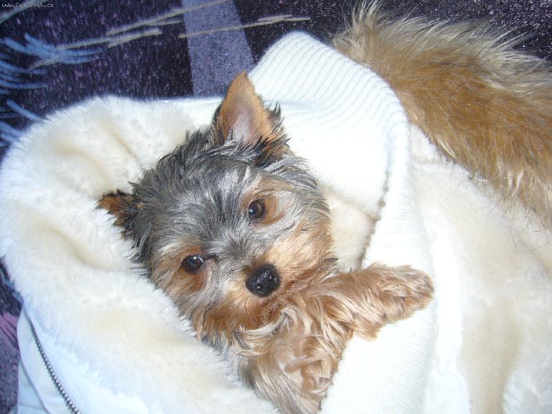 Foto: hm ta bunda je ale pohodlna!! :-)