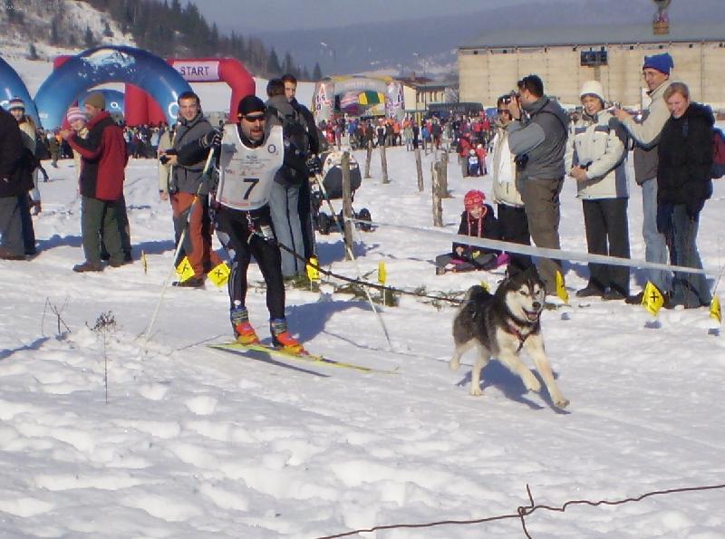 Foto: Husky-mistrovstvi evropy...