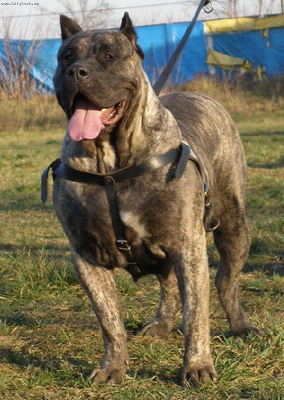 Foto: WIKA KWINTYLION-WIKA