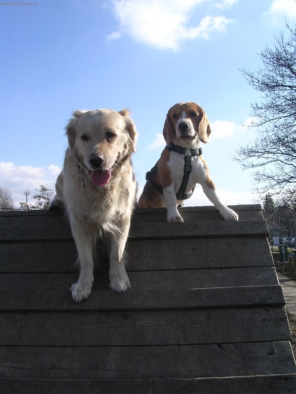 Foto: Kesi-Kesinka s Kamar�dem