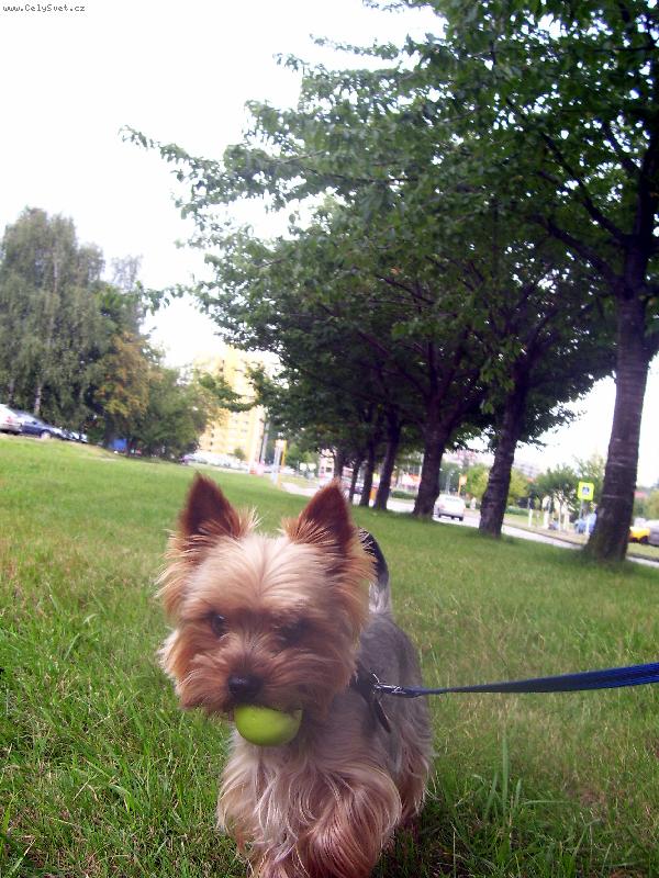 Foto: jednou venku......................