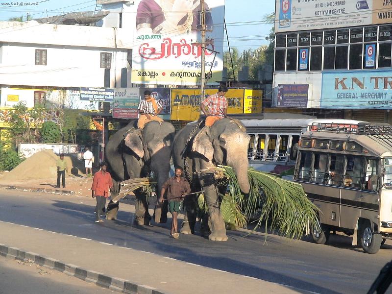 Foto: Pozor na slony!