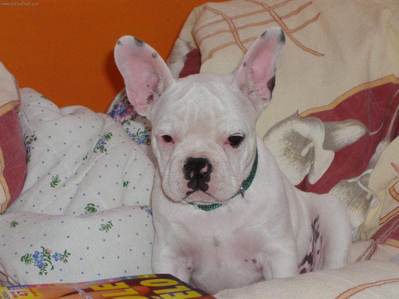 Foto: Mike-To jsem byl je�t� malinkej :-)