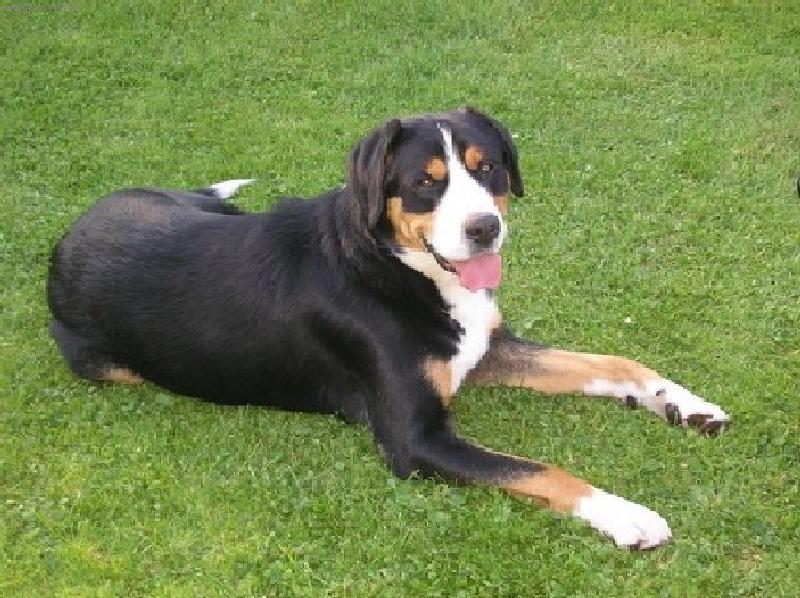 Foto: Dynno Rodyry-N� velkej Dynou�ek