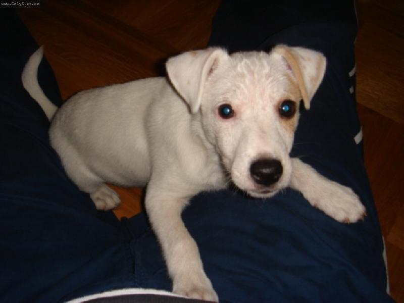 Foto: j� jsem Jack a ty?