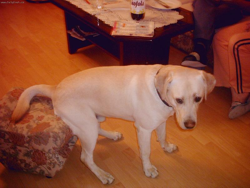 Foto: sed�m na taburetu,no a ?