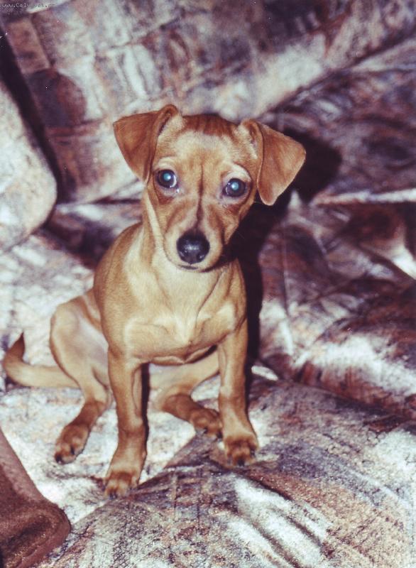 Foto: To je na�e Madlenka