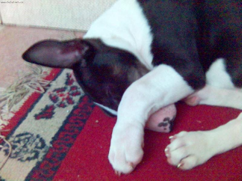 Foto: Barunka-ide�ln� stav