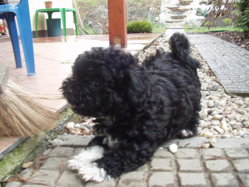 Foto: moje hry-na zahrad�