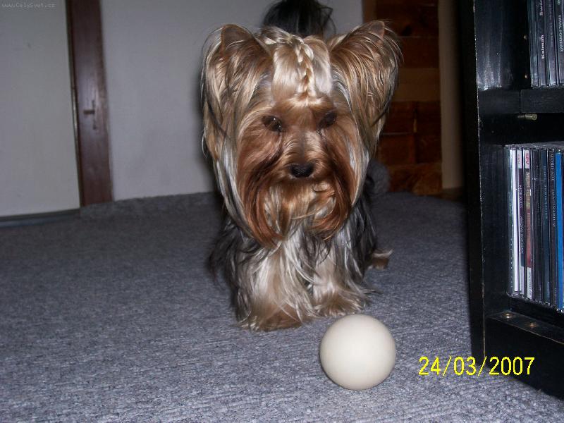 Foto: Bessy-www.jork-bessy.estranky.cz