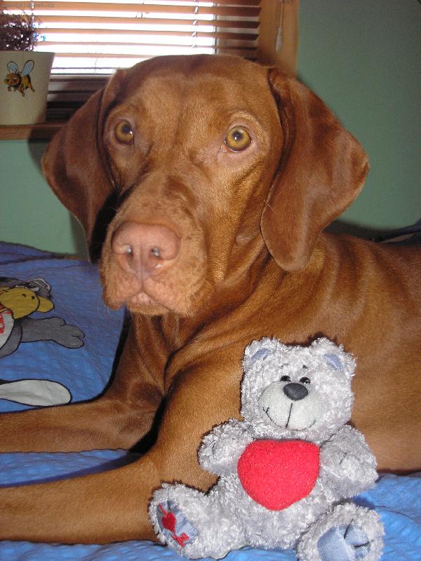 Foto: Tesska s m��ou