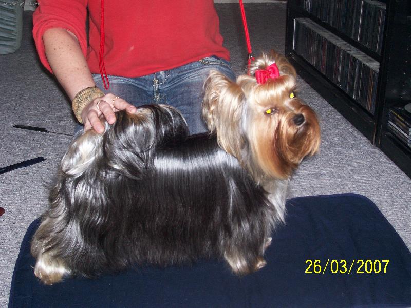 Foto: Bessy-www.jork-bessy.estranky.cz