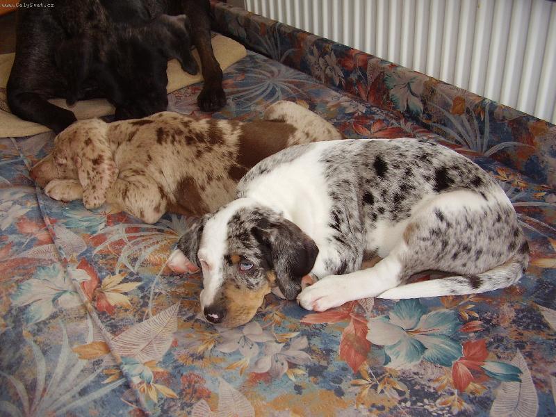 Foto: SISINKA-chrn�me