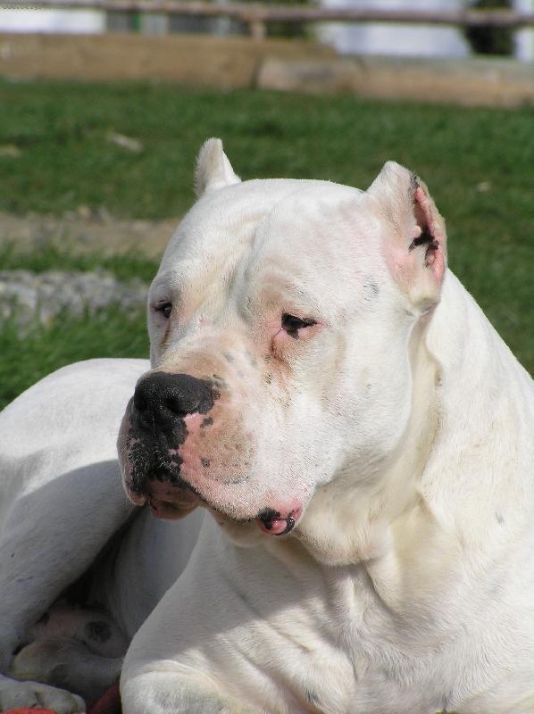 Foto: Ricardo Corazon de Leon de Vianini