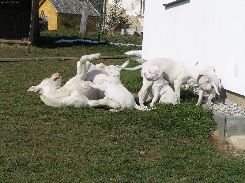 Foto: Pach   Cloe   vrh D