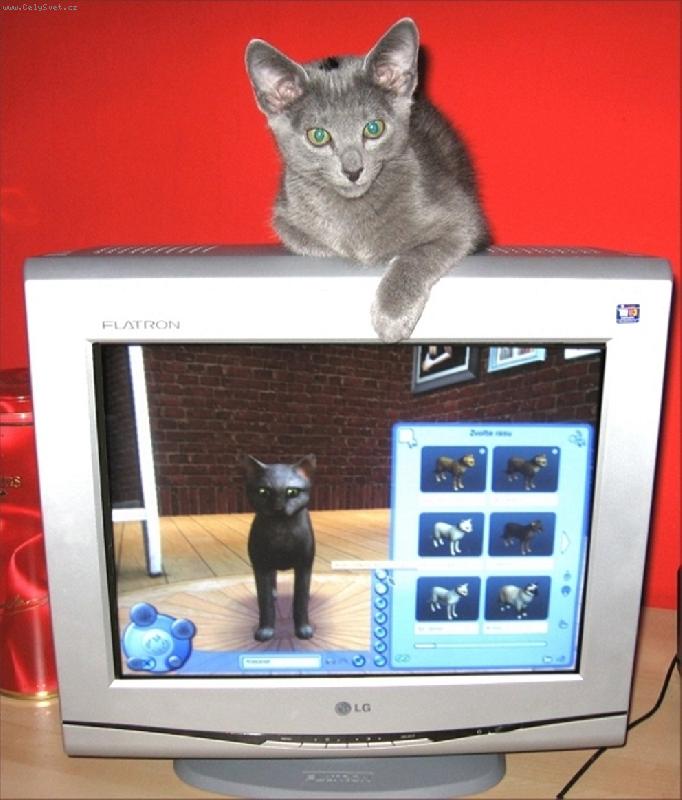 Foto: alex - 2/5 m�s�ce star�