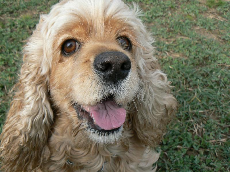 Foto: Megi-zlat��ko