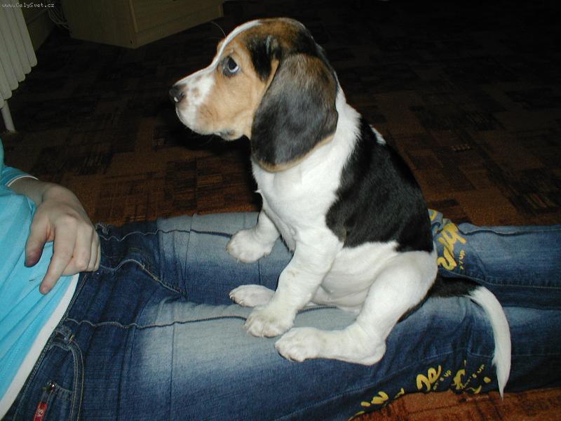 Foto: Jeff-na�e miminko