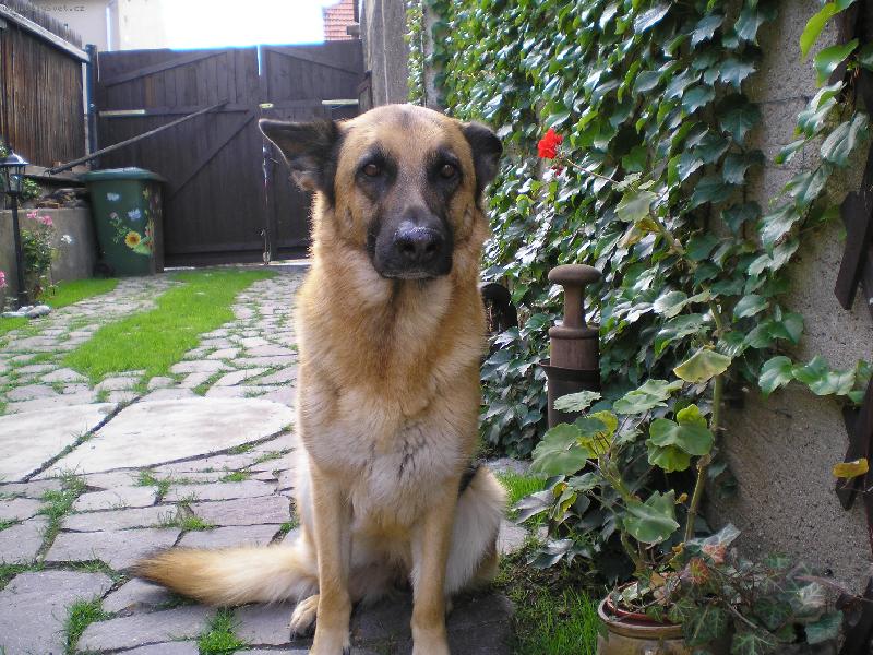 Foto: Oty Abea-st�le kr�sn� hl�da�ka