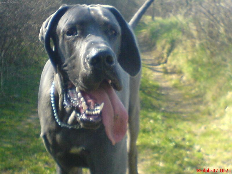 Foto: to je ale horko...