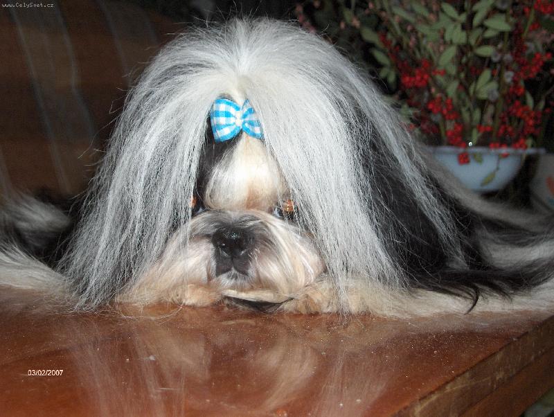 Foto: Vong-Kong Shah Abbas