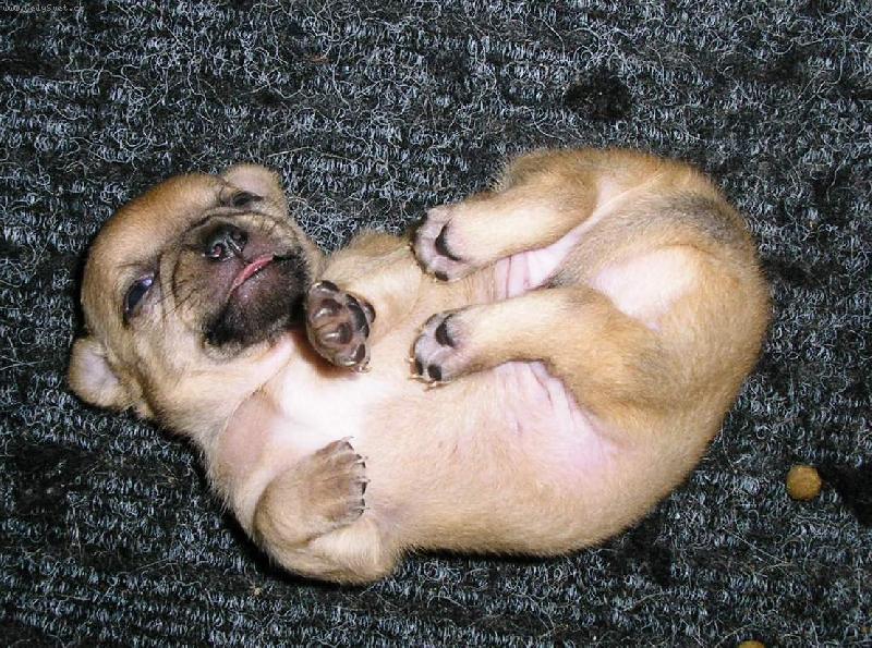 Foto: pole�en��ko