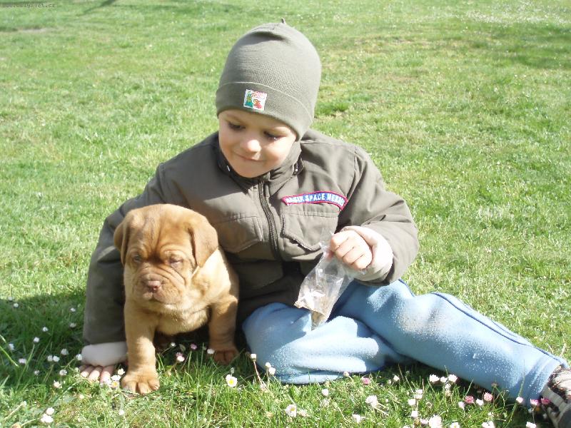 Foto: Carin 6t�dn�