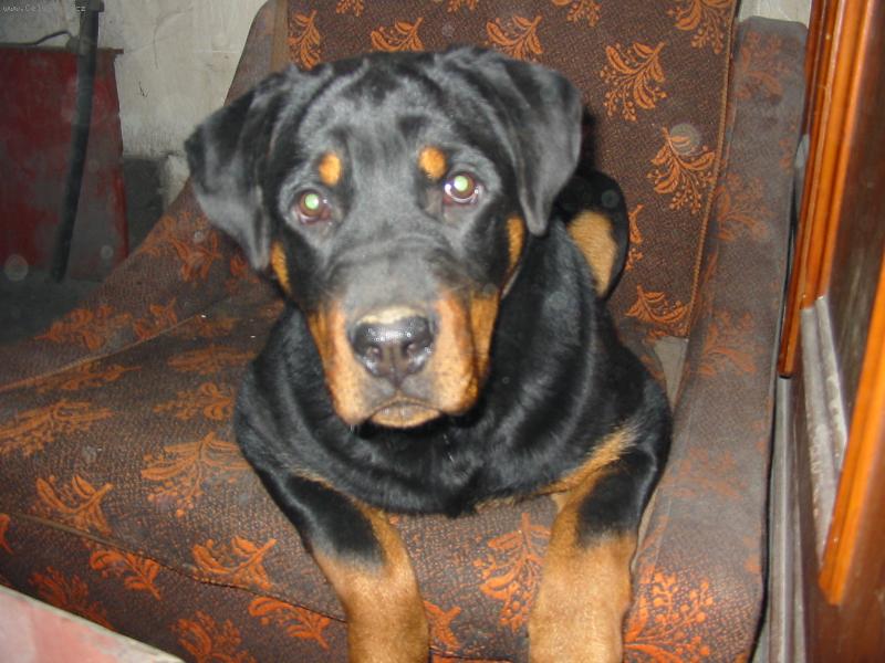 Foto: jen tak leno��m