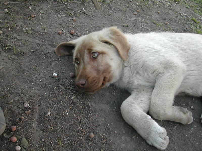 Foto: Pepousek, 4 mesice