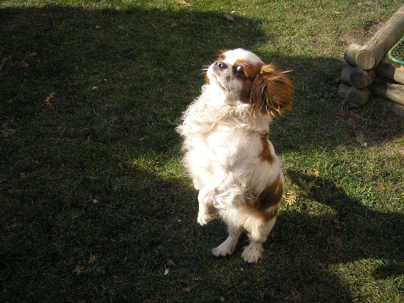 Foto: super-super!!!!!!!!!!!!