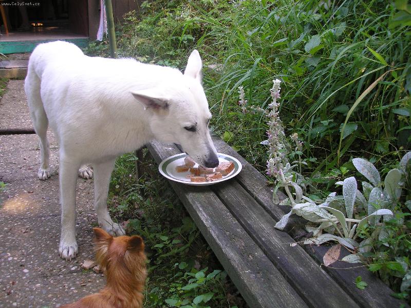 Foto: ��la-super!!!!!!!!!!!!