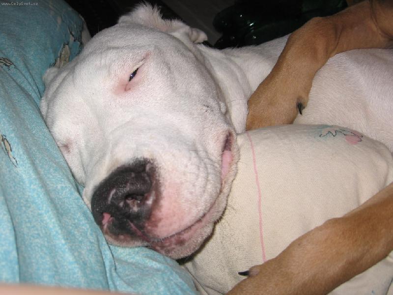 Foto: Nechte mi sp�t-Unaven� holka