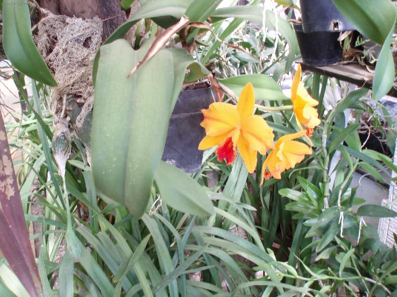 Foto: N�v�t�va u Anonyma