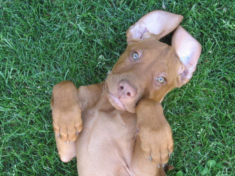 Foto: N� bl�zniv� Sany